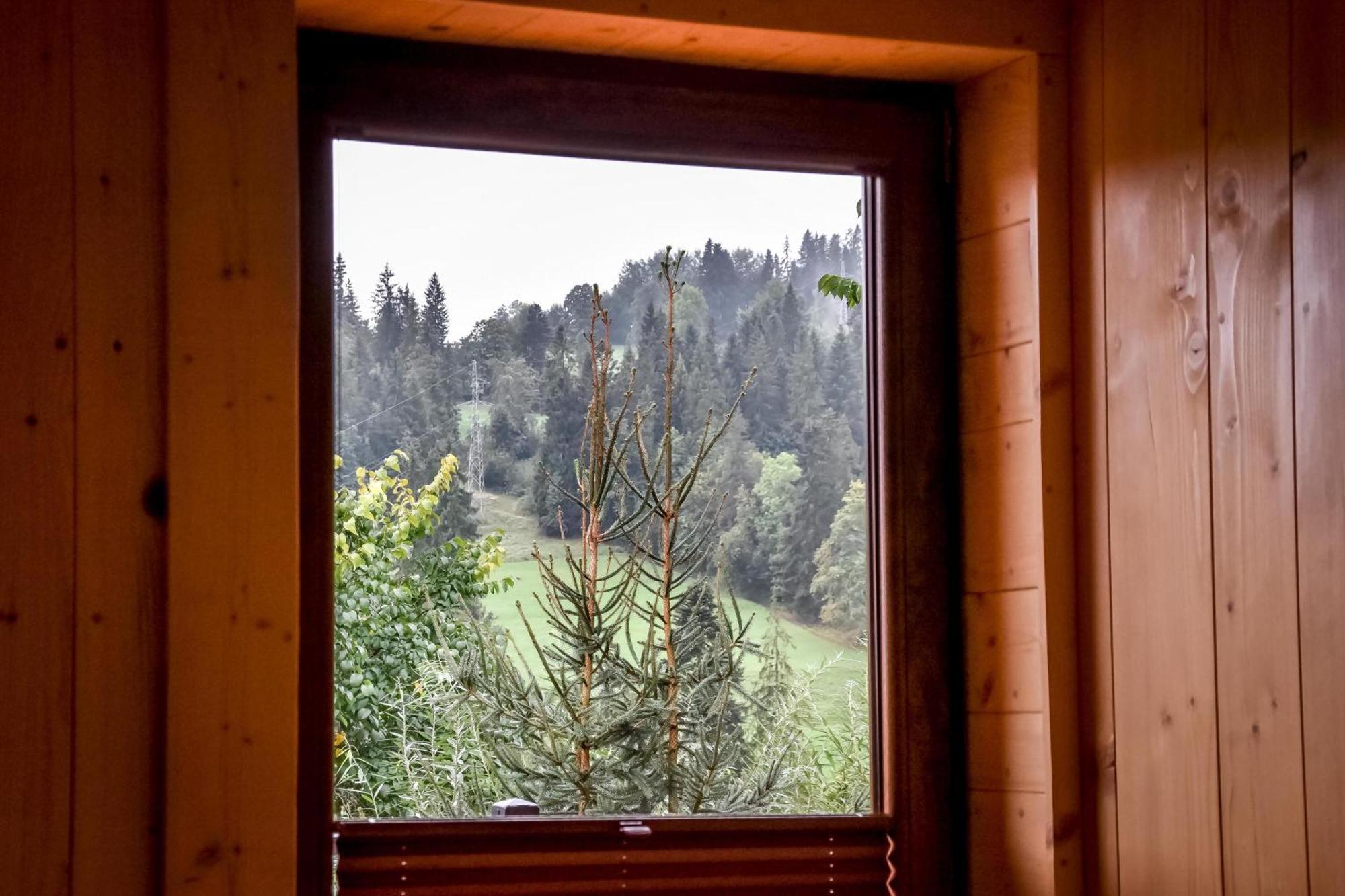 Domek Jatka No 1 Zakopane Exterior foto